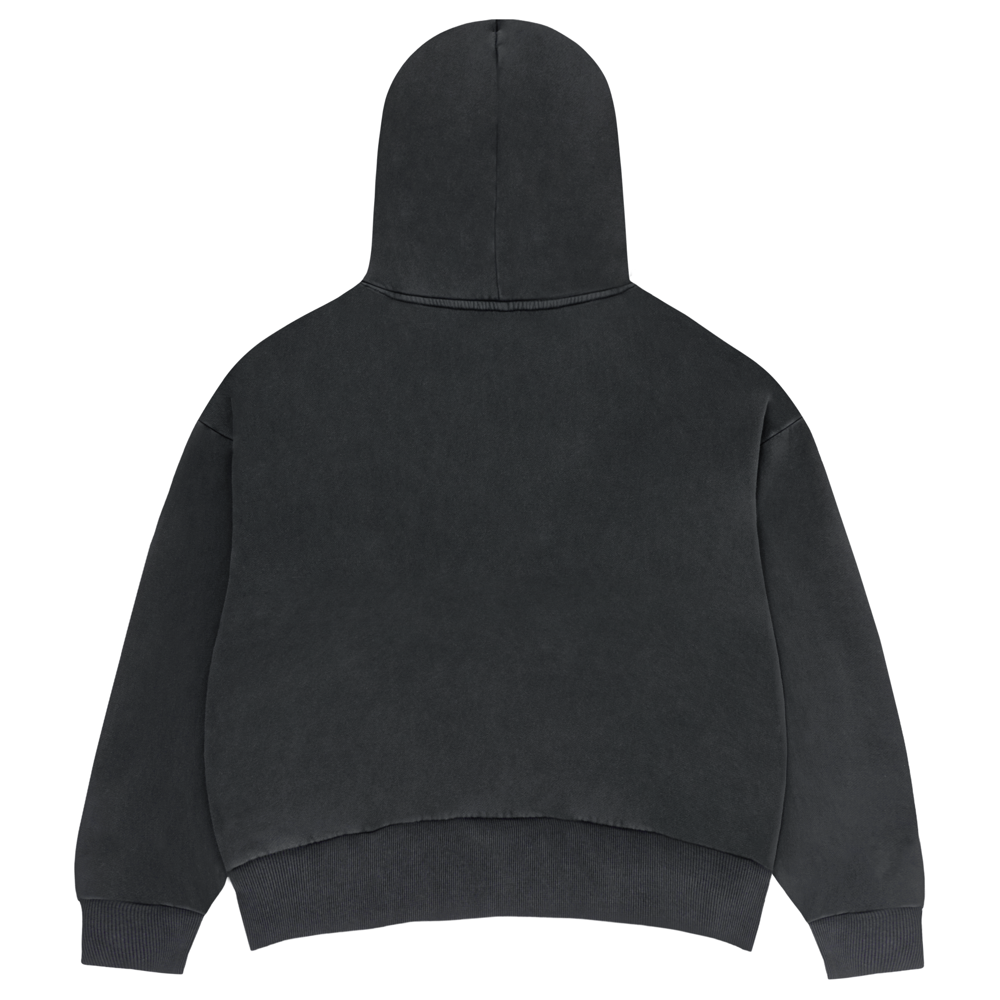 OCTANE MOUNTAIN HOODIE – Don Toliver | Official Store